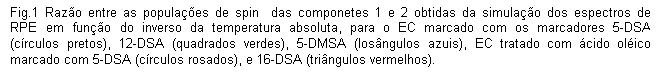 Caixa de texto: Fig.1 Razo entre as populaes de spin  das componetes 1 e 2 obtidas da simulao dos espectros de RPE em funo do inverso da temperatura absoluta, para o EC marcado com os marcadores 5-DSA (crculos pretos), 12-DSA (quadrados verdes), 5-DMSA (losngulos azuis), EC tratado com cido olico marcado com 5-DSA (crculos rosados), e 16-DSA (tringulos vermelhos).